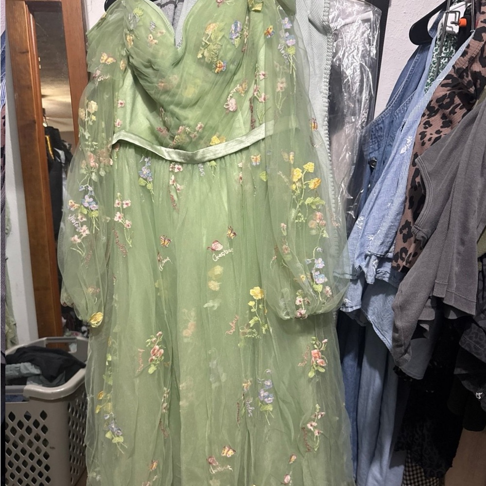 Source Unknown Light Green Floral Embroidered Tulle Gown
